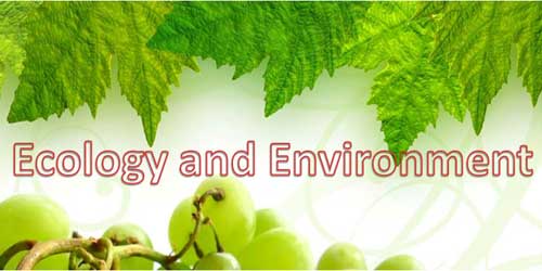 ecology and environment