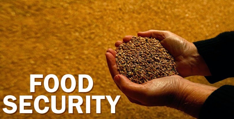 Image result for national food security act