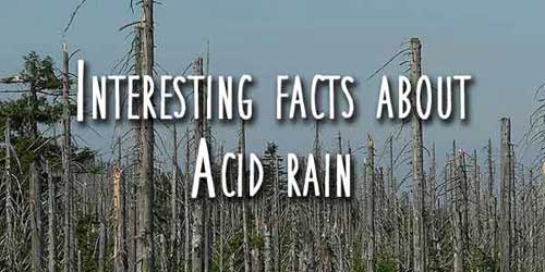 Facts About Acid Rain