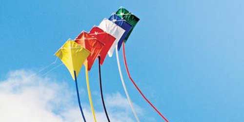 Facts About Kites