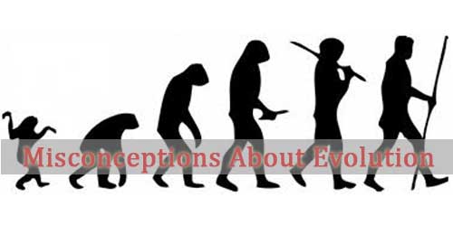 Misconceptions About Evolution