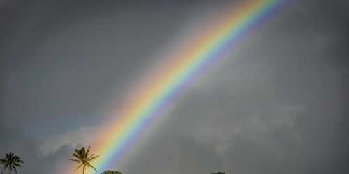 Quite Interesting Facts About Rainbow