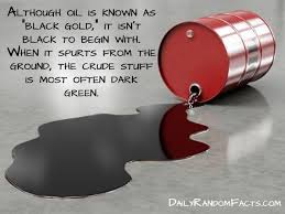 facts about Oil