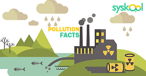 pollution facts