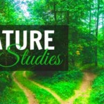 nature studies