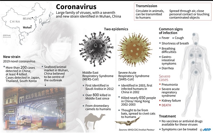 coronavirus infographic