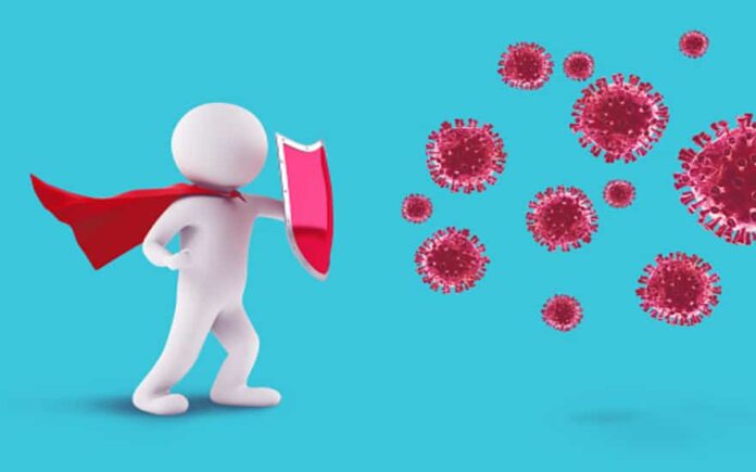 immune system