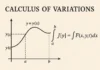 calculus variations